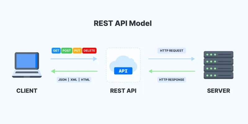REST API Model
